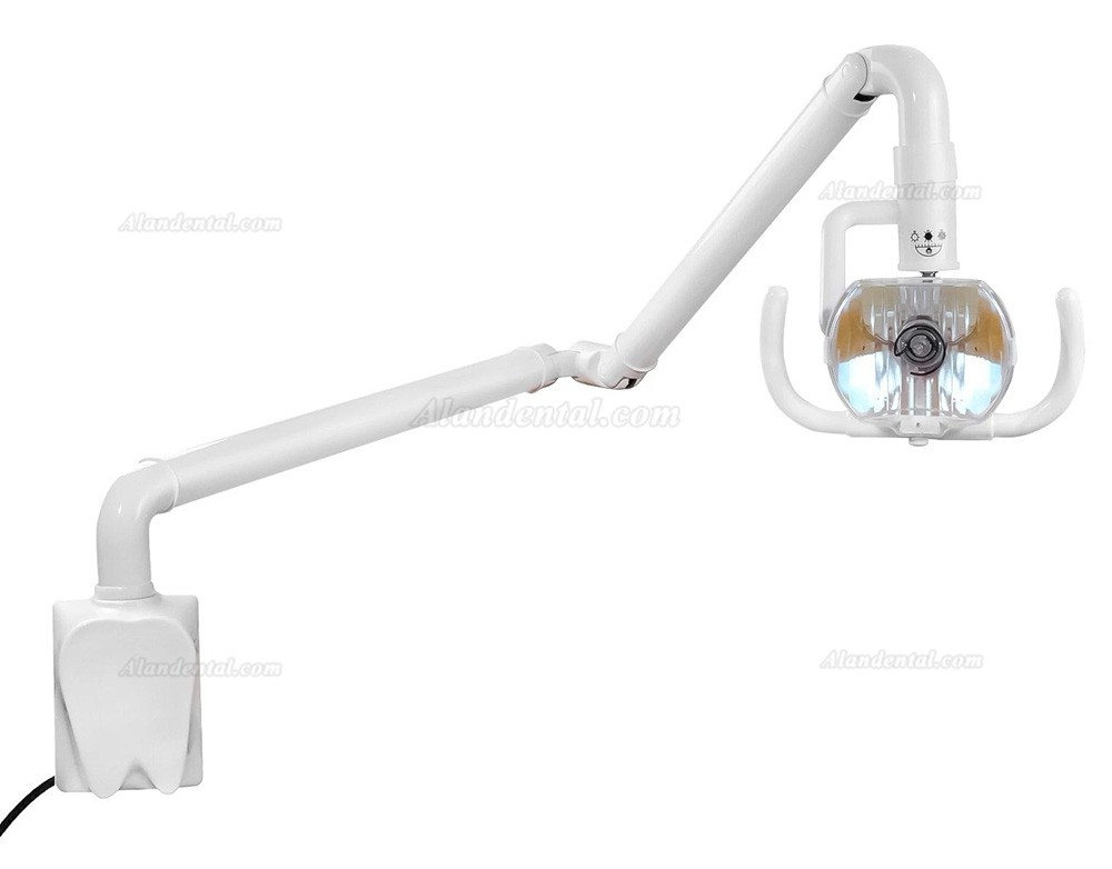 50W Dental Oral Lamp Wall Mounted Cold Light Shadowless Surgical Exam Lamp